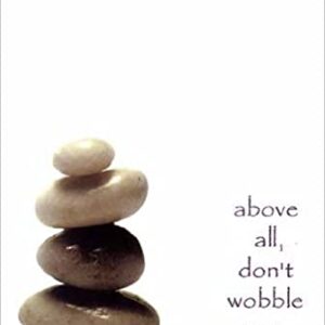 Above All, Don’t Wobble: Individual Meetings with a Contemporary Mystic