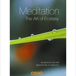 Meditation the Art of Ecstacy on Meditation and Meditation Techniques